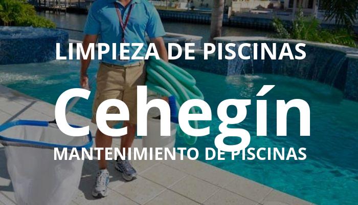 mantenimiento piscinas en Cehegín