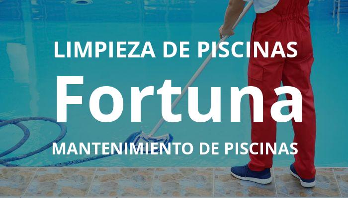 mantenimiento piscinas en Fortuna