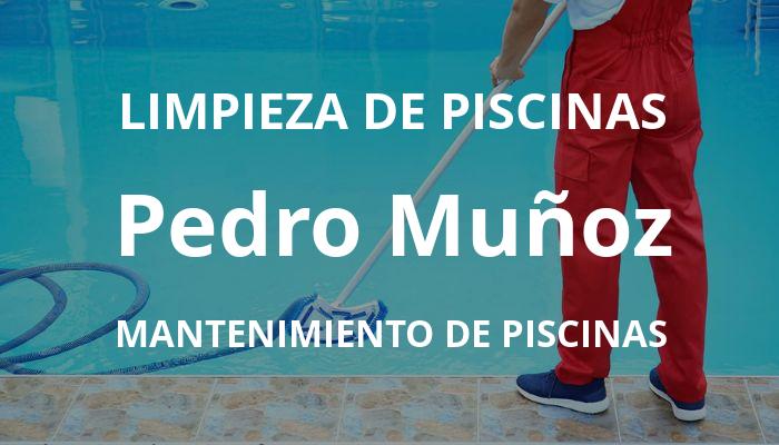 mantenimiento piscinas en Pedro Muñoz