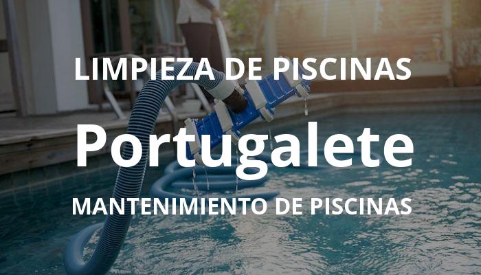 mantenimiento piscinas en Portugalete