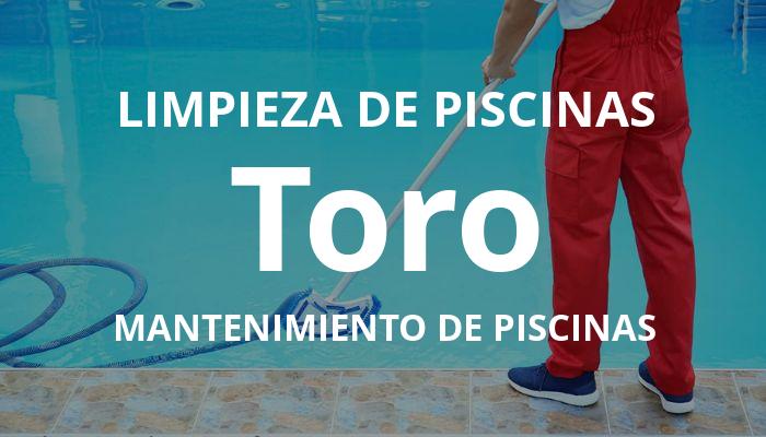mantenimiento piscinas en Toro